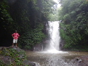 The main part of the multi-cascade Gitgit Falls surrounded by thick jungle