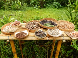 Beautiful Balinese spices for sale on the side of a trail 