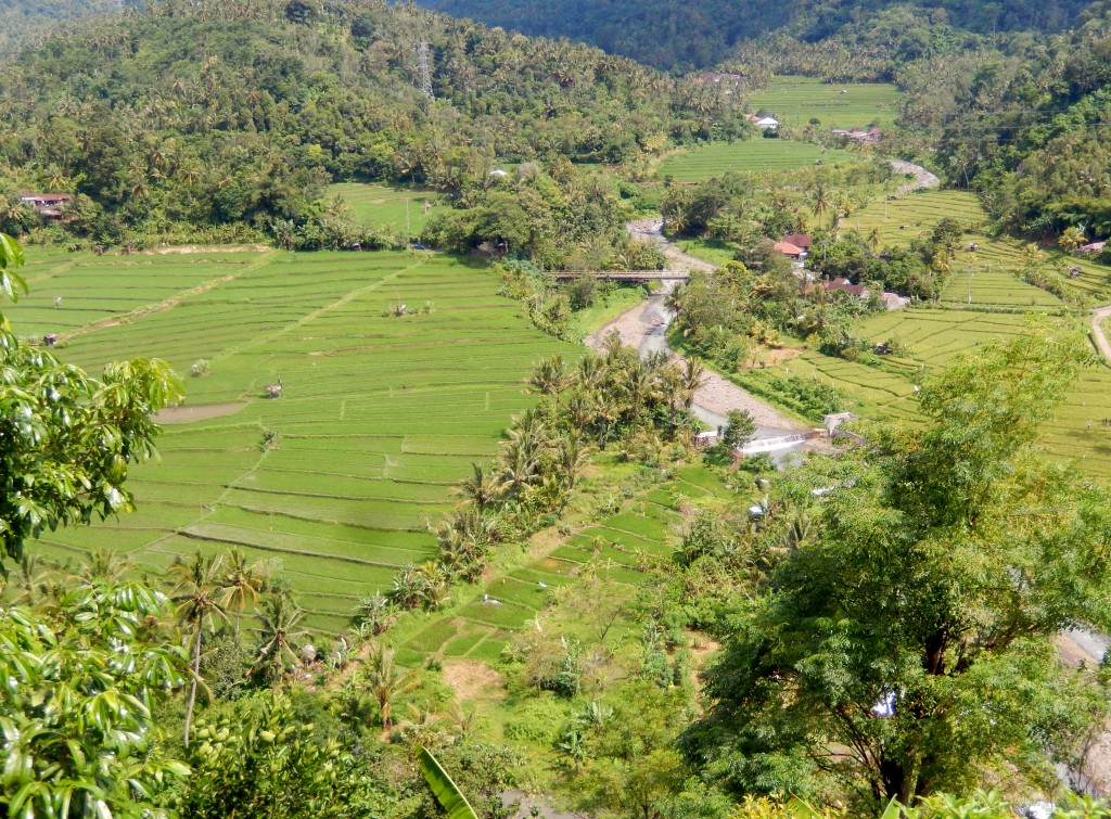 A beautiful scene in the valley below - the product of rich soils, perfect weather and hard work