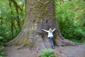 If there is a tree to hug, Julie's right for the job - but this one was a bit too big