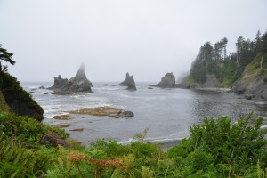 The fog-shrouded coastline near Cape Flattery - the northwestern most point of continental US