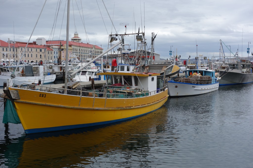Fishing boats still feature in Hobart's marina 