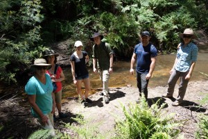 The team barely makes it back to the Wolgan River, everyone accounted for