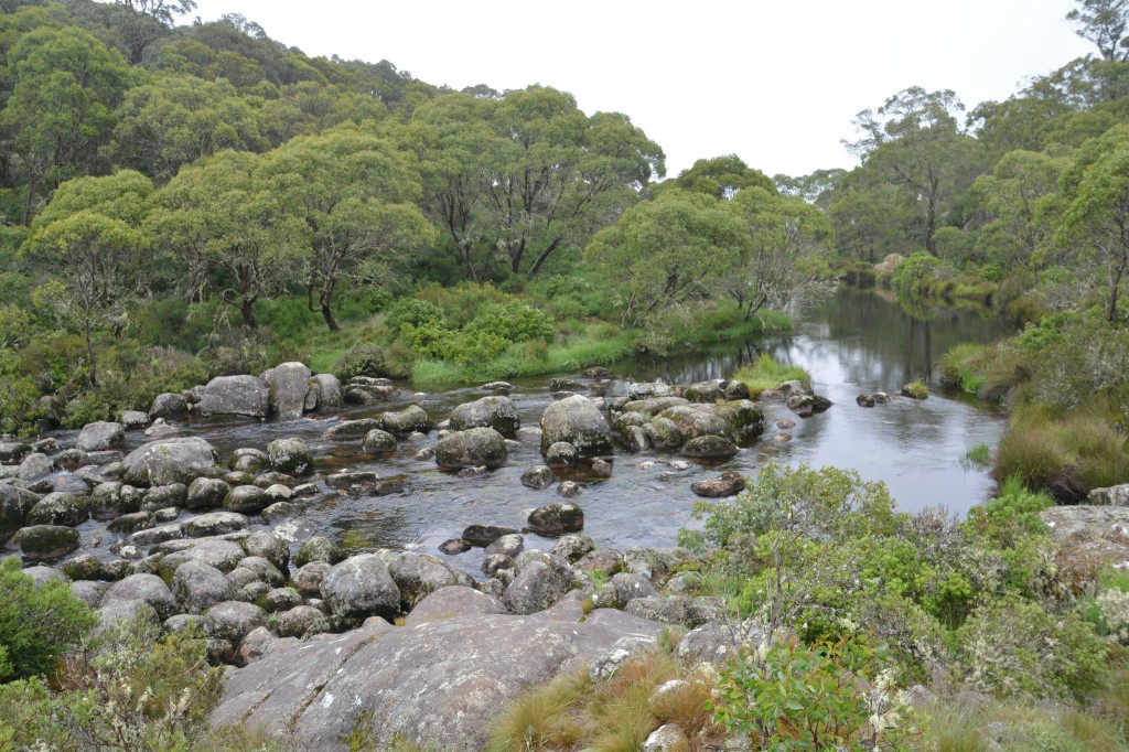 Some of the scenes were superb.  This is the Barrington River high in the mountains near its source