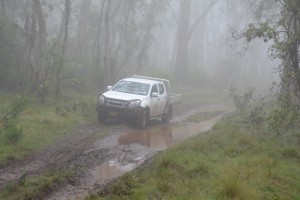 Some of the driving through the mud and drizzle was quite fun
