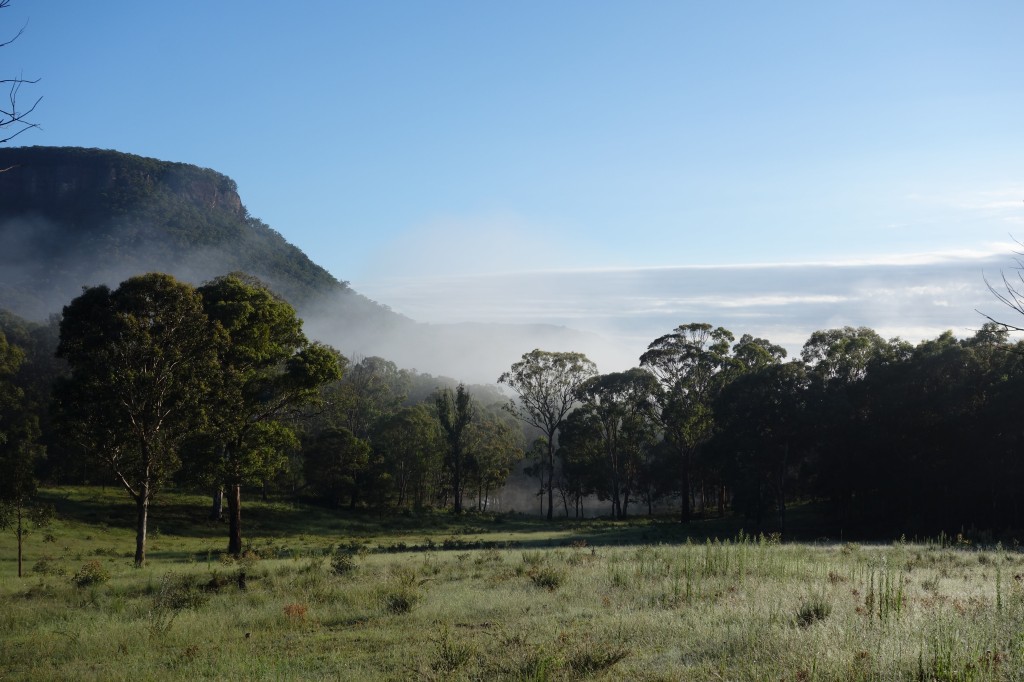 The early morning mist coming off our dam is a great way to start the day