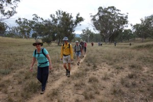 Julie leading the group - and our new friends - for the first kilometre