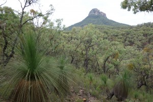Pantoneys Crown looming high above us - we didn't know the fun ahead