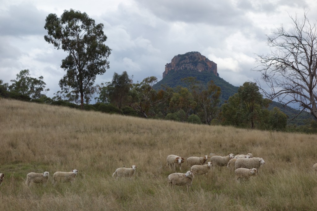 A look back at Pantoneys Crown from near the car park