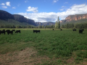 One of the many spectacular views from the floor of the Capertee Valley
