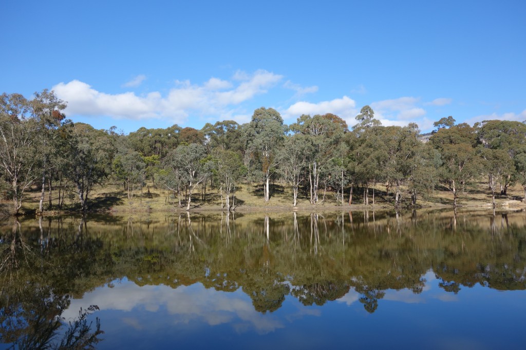 Perfect reflections on our large dam back at our property where we enjoyed a hot fire and cold beer each night