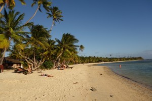 A long way from the office - soft sand, swaying palms and blue waters
