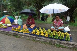 Selling in the rain - there's never a bad time to buy mandarines