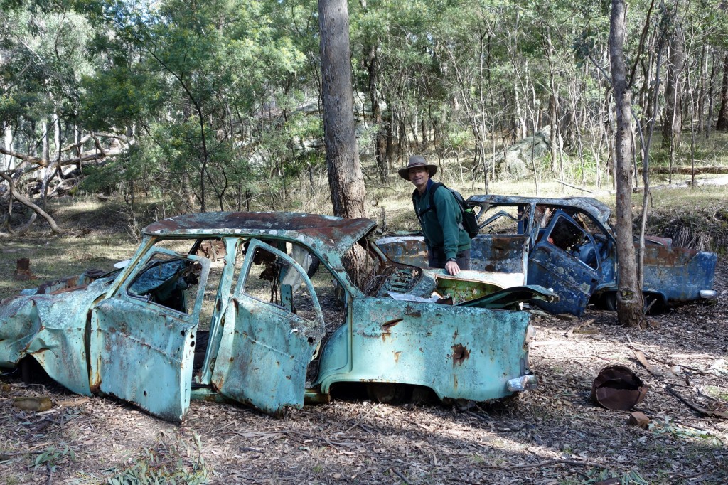 Two forgotten Ford Zephyrs circa 1950s have found their permanent home behind the Manager's Residence at the Newnes shale mining site