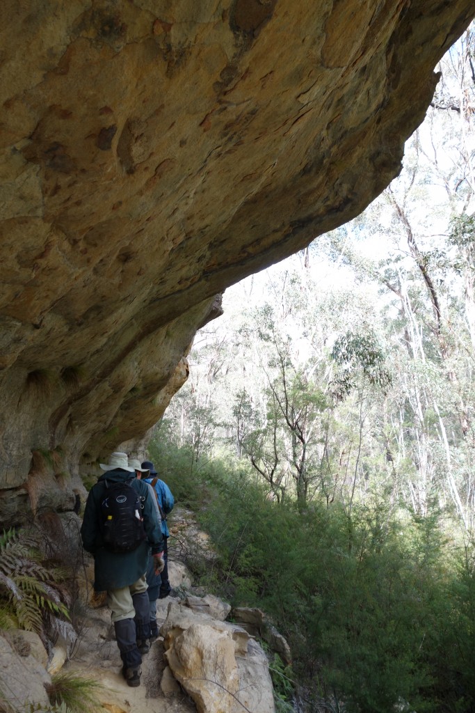 There were amazing scenes around every corner as we walked along the base of the escarpment up Deane's Creek