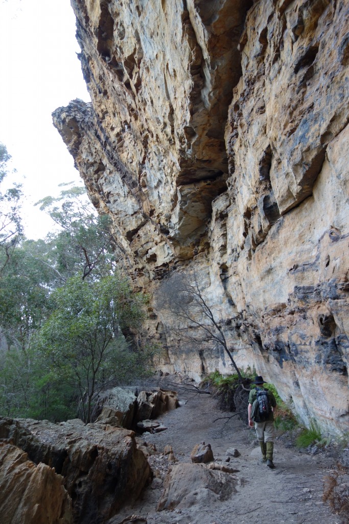 Sections of the walk involved following a ledge at the base of the upper cliffs
