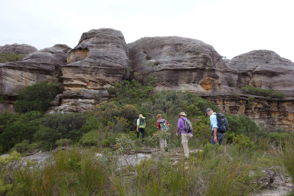 Approaching the Boorang Crags, ironstone pagodas that have arisen above the thick bush
