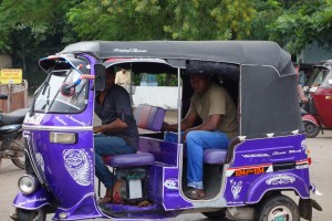 Tuk tuks are everywhere in Sri Lanka, most of them privately owned by families who have moved up from motorbikes