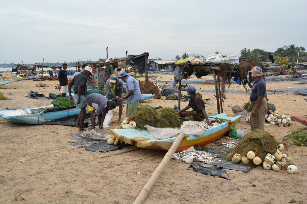 While the women are cleaning and drying the fish the men have to untangle and repair their nets