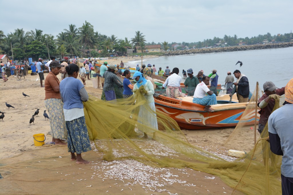 Fishermen work on their nets after come in with the morning catch