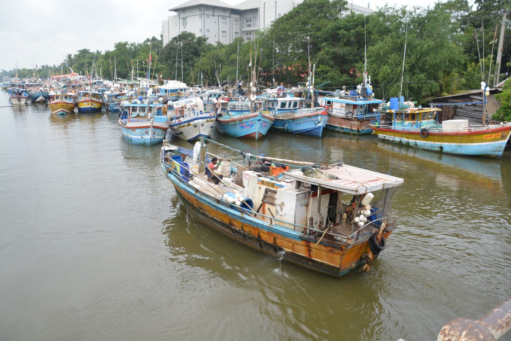 The fishing port of Negombo was a hive of activity all morning