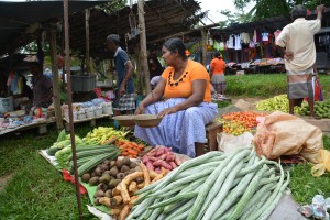 We stopped in a small village to walk through their local daily market