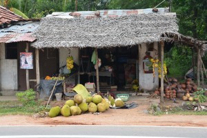 A small shop on the side of the road selling huge jack fruit and other essentials