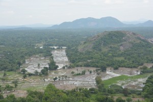 The view from on high - flooded rice paddies cut into deep jungle