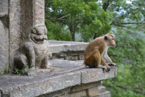 Monkeys were found in most rural settings, sometimes with their stone friends