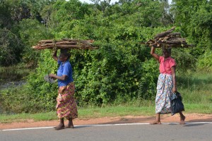 Locals collecting firewood in the early morning heat