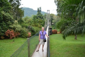 This walking suspension bridge crossed the swollen river in the gardens