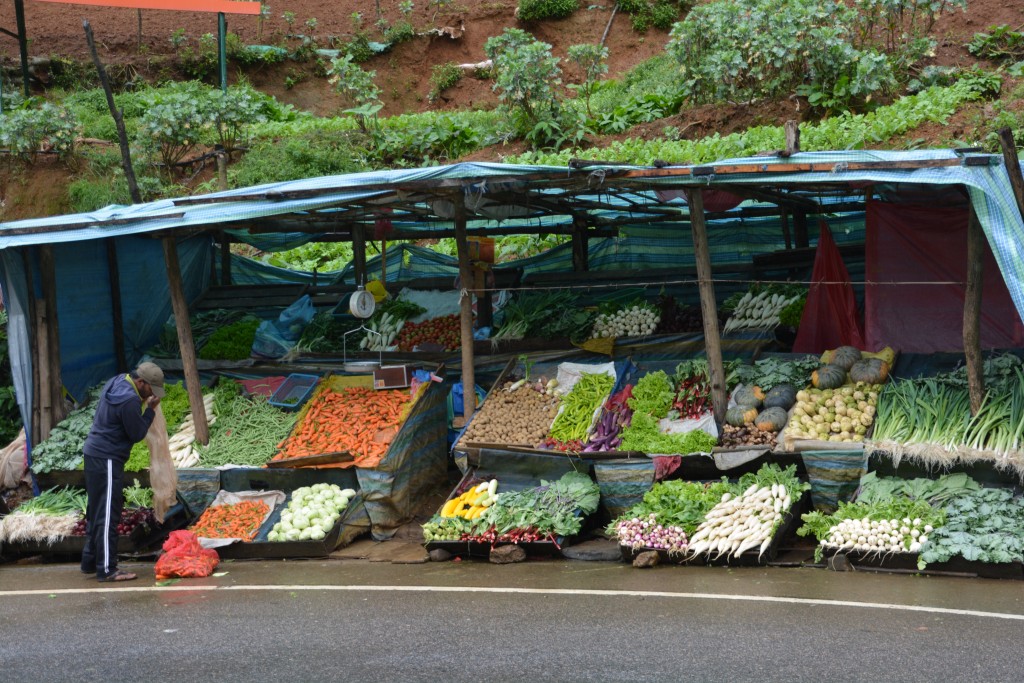 Colourful roadside stands sell a huge variety of fresh veggies