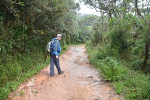 Horton Plains provided a unique walking experience at over 2,000 metres