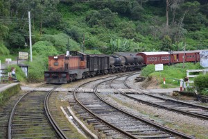 Our old train pulling into the station - great fun but standing room only!