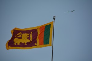 The beautiful Sri Lankan flag featuring a brave lion, even though there are no lions in the country