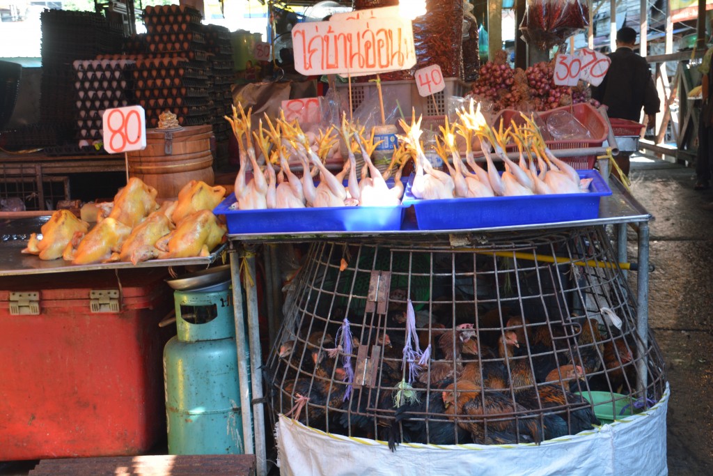 Visiting the markets of Bangkok is one of the highlights. In this wet market in Khlong Toey you can buy chicken in three forms - alive, plucked or cooked