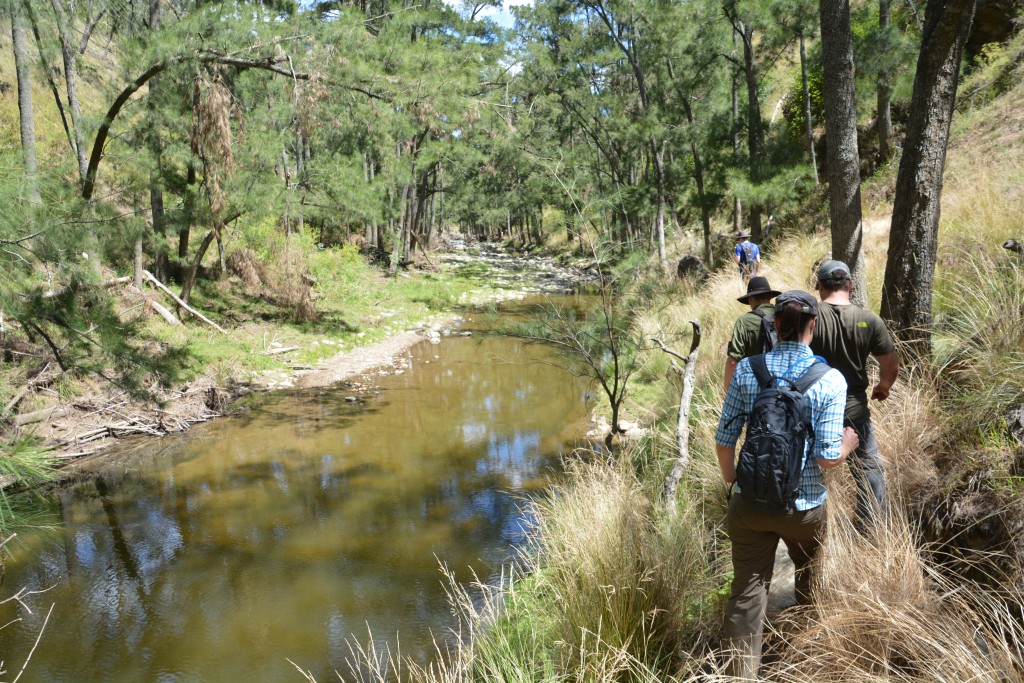 A very pleasant walk along the Cedar Grove Creek