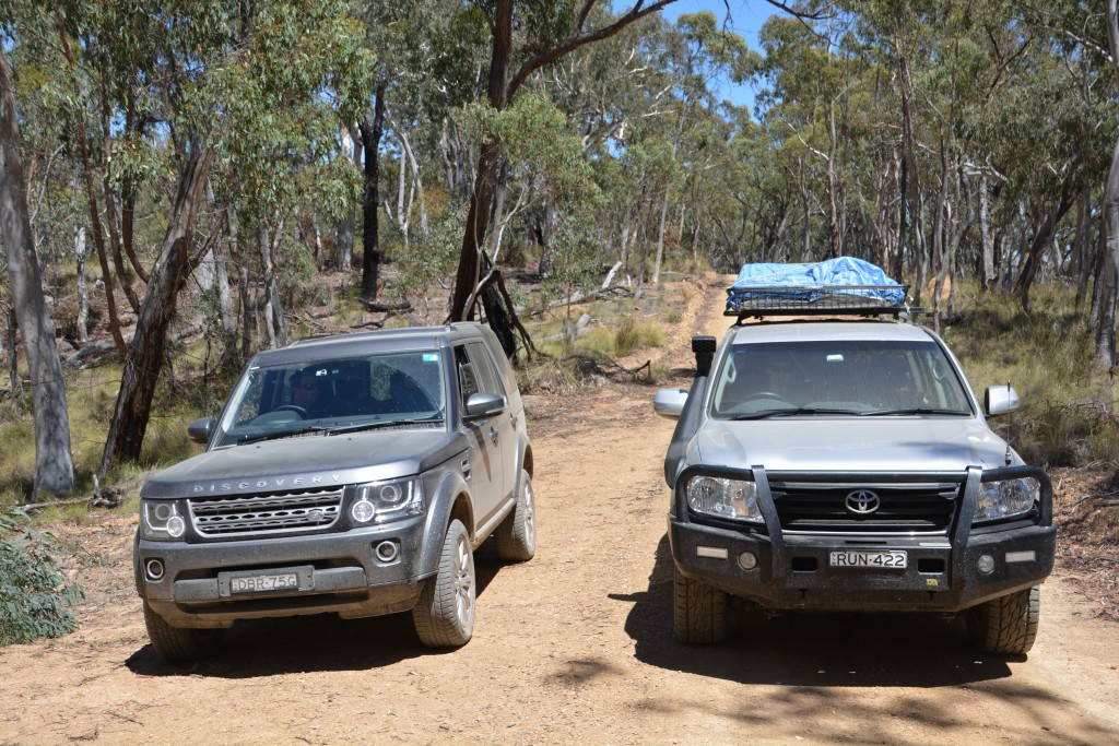 The two beasts taking a little breather from roaming up and down the steep fire trails in the national park