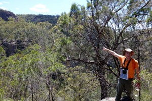 "We need to get over there" - our leader Yuri on the way to Constance Point