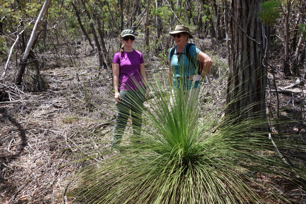 Gemma and Julie provide colour and laughter with this large grass tree