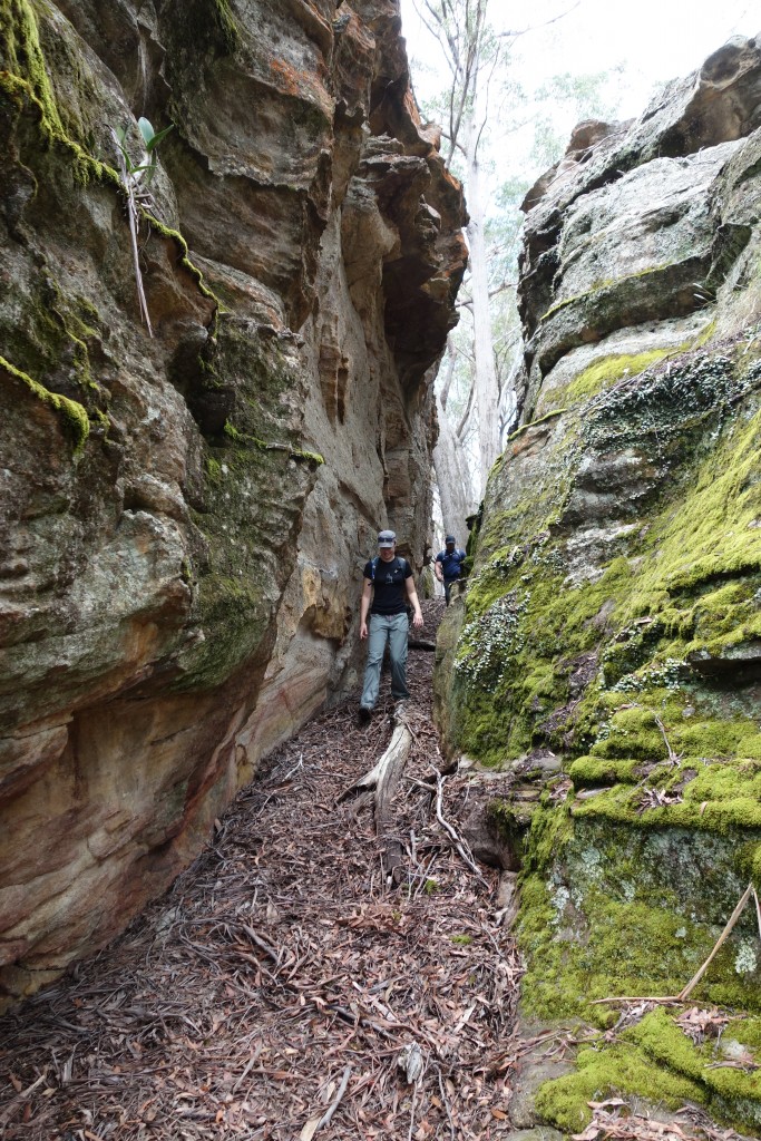 Some of the deep gullies provided us with a welcome pass out to the point