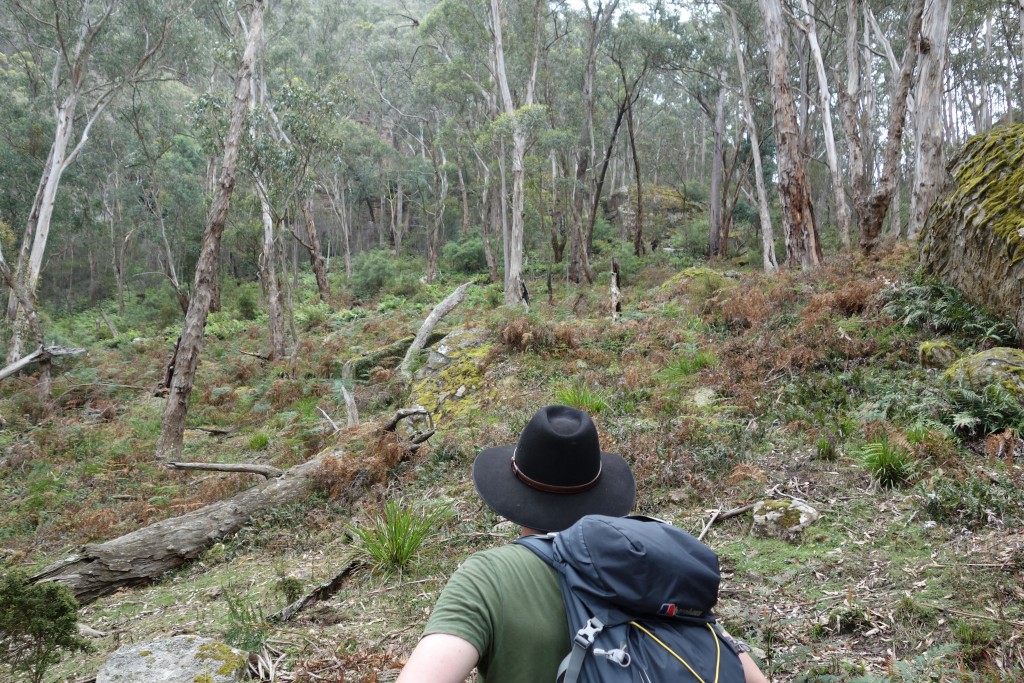 Zach checking out the steep climb through heavy foliage that we needed to negotiate before reaching the first ridge