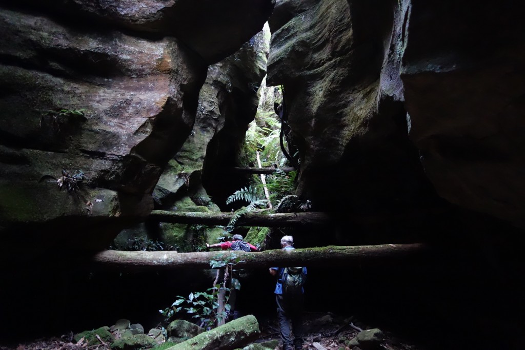 This deep and narrow gully has logs positioned into holes chiseled into the rock faces dating back over 100 years, probably for sliding cut logs down the mountain