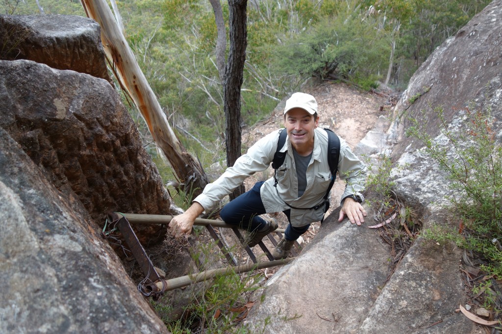 Bush walking in the Blue Mountains throws up all sorts of interesting features - including this old iron ladder