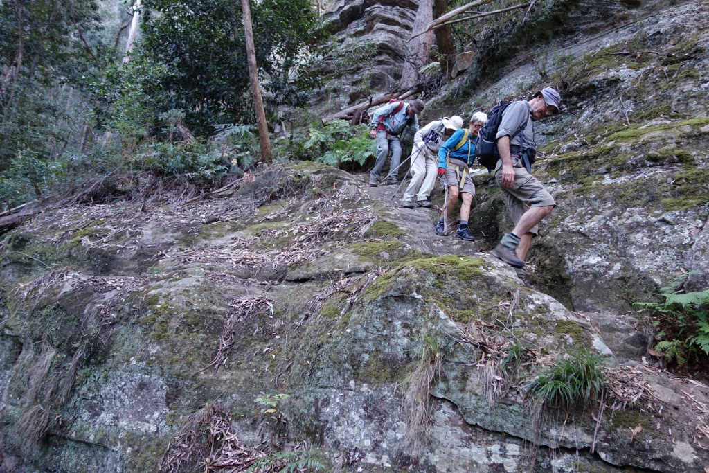 Bushwalkers making a careful descent along the Pipeline Track on a walk I led last month