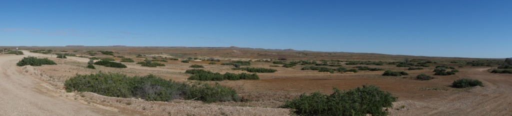 A panoramic view of the desert