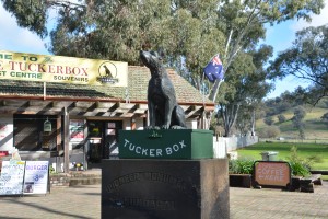 You have to stop at the dog on the tucker box - its a tradition!