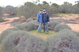 Anna and Carl surrounded by the very sharp and spiky porcupine grass