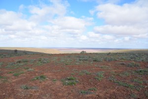 The long drive to Coober Pedy was marked with a lot of the same minimalist scenery