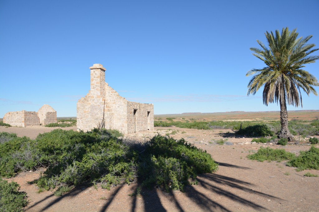 The palm trees at the ruins are the only things still benefiting from the deep springs here